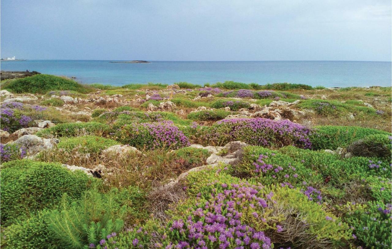 Villa Tonia Fasano Dış mekan fotoğraf